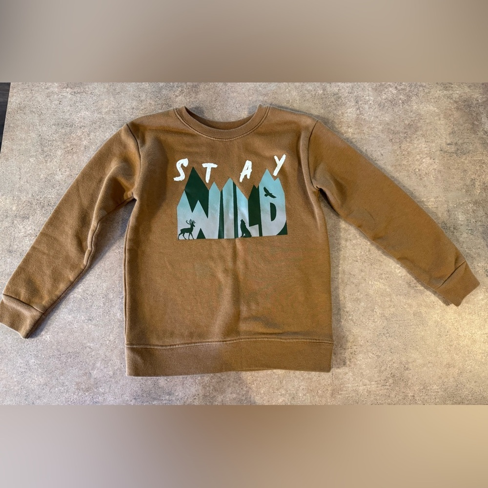 Garanimals - 5T Brown 'Stay Wild' Kids Sweatshirt